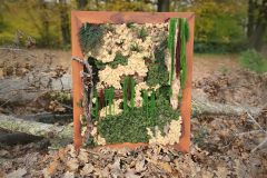 Natural Art Design