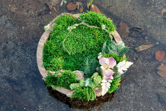 Natural Art Design
