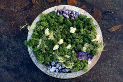 Natural Art Design