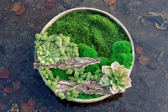 Natural Art Design