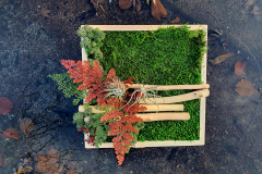 Natural Art Design