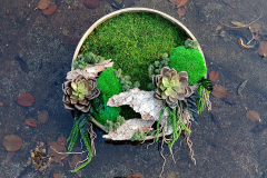 Natural Art Design